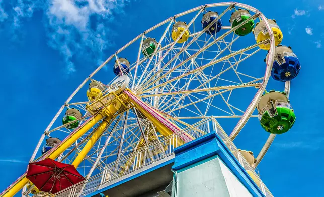 高峰樂園的摩天巨輪。海洋公園圖片