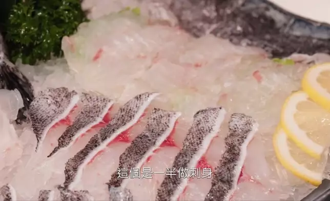 祖藍試食潮汕本地魚—金鼓魚刺身！