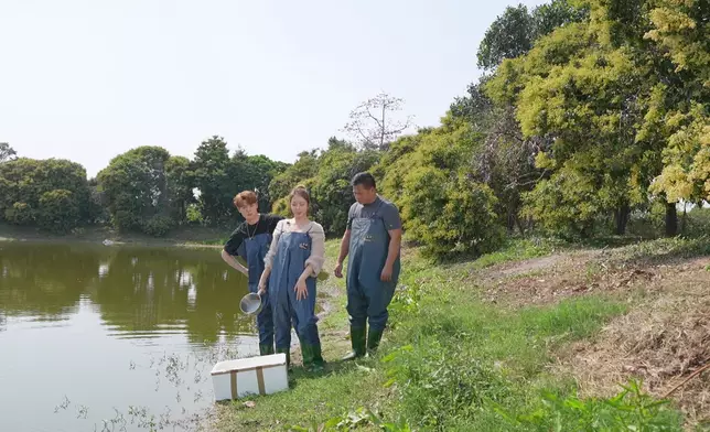 本地的寶石鱸魚養殖場。