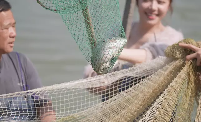 Archie、莊子璇撈魚的挑戰。