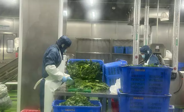 優予食品沙律製造工場。巴士的報記者攝