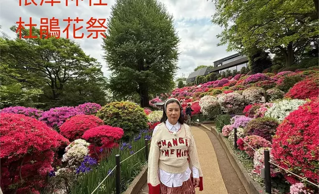 阿姐個樣面燶燶