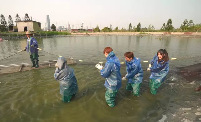 Archie全程沒有幫手。