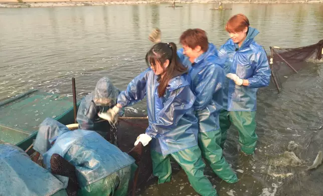 彈出水面的瞬間水花四濺，讓三位瞬間變成了「水花戰士」。