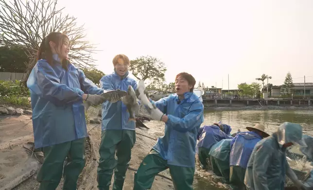 三人捉到烏頭相當興奮。