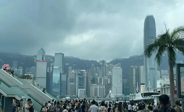 資料圖片。巴士的報記者攝