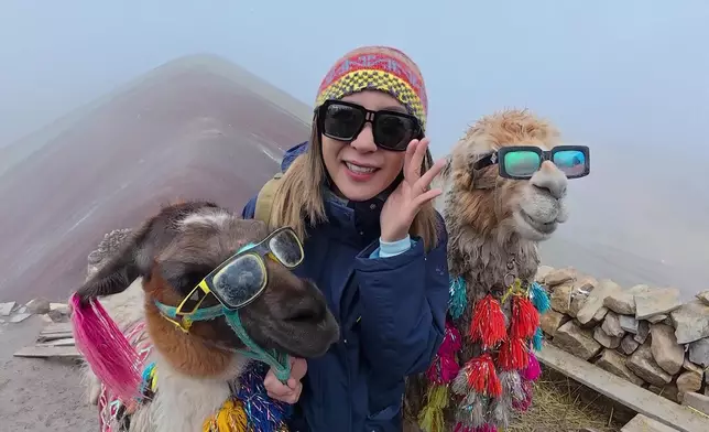 搞笑地與戴著太陽眼鏡的羊駝合影留念。