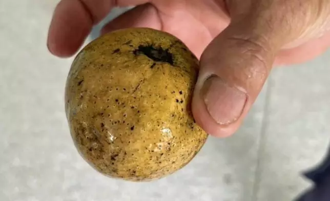 圖片取自Matichon