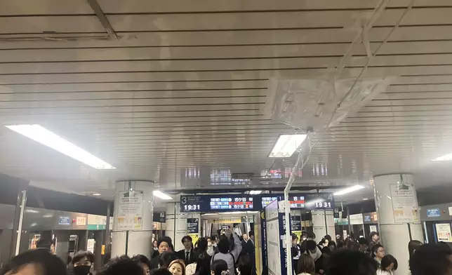 miniminiシャロパンX圖片