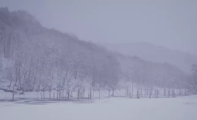 漫天飄雪的水幫仿如《情書》的場景。