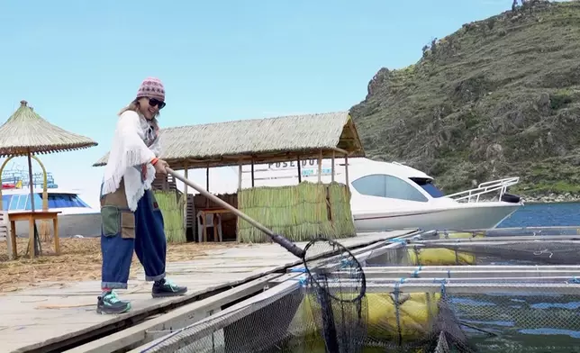 撈鱒魚