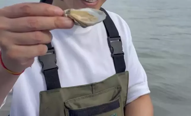 品嚐最新鮮悉尼岩蠔！