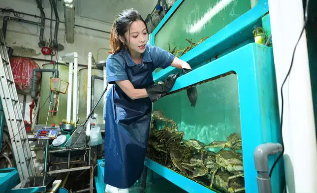 賴慰玲「魚販」，都好揦手唔成勢吓。