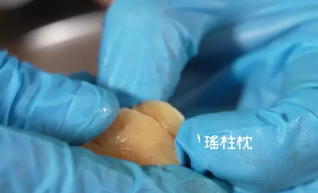 靜文負責搣瑤柱。