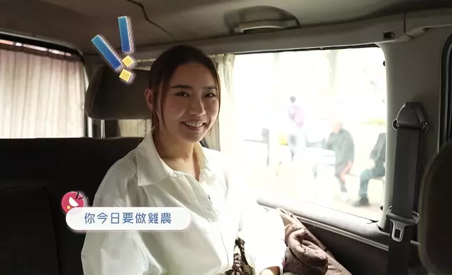 從事一日雞農的Joey 聽到負責照顧5,500隻雞頭都暈。