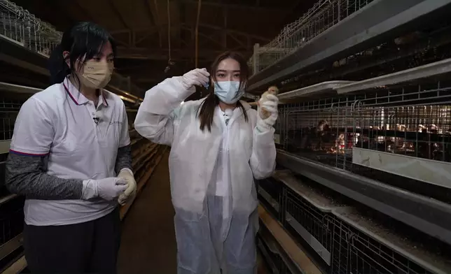 重新投入發揮「寫輪眼」。