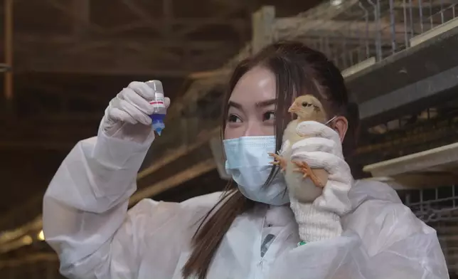 重新投入發揮「寫輪眼」。