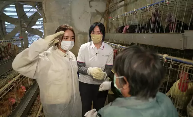 捉實公雞取精。