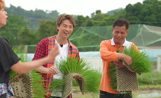 冼靖峰與黃劍文獲農場負責人華哥教「拋秧」種米。