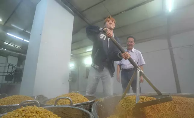 冼靖峰咬緊牙關在盡力剷起熟黃豆。