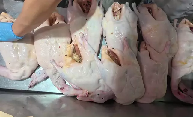 蕭正楠化身「摩打手」。