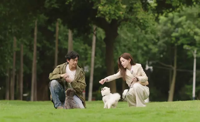 估唔到網民連狗仔都覺得有機會係人格，睇嚟佢哋真係好投入。