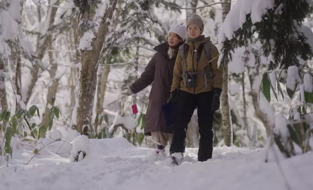 森林堆滿積雪舉步維艱，但景色怡人。