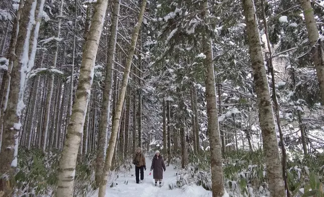 森林堆滿積雪舉步維艱，但景色怡人。