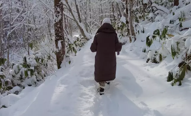 森林堆滿積雪舉步維艱，但景色怡人。