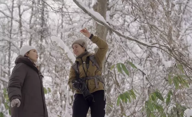 森林堆滿積雪舉步維艱，但景色怡人。