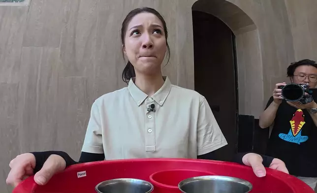 其實連餵鸚鵡嗰吓，Hera都好驚，因為隻雀嚇佢。