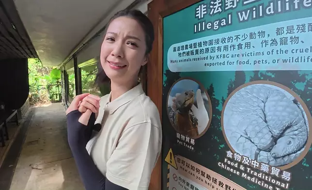 佢啲驚驚樣勁爆笑。