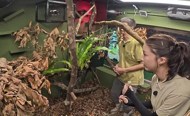 咁驚都克服到，好叻女。