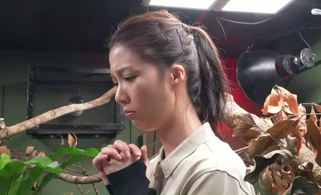 咁驚都克服到，好叻女。