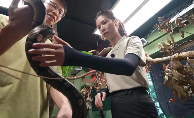 咁驚都克服到，好叻女。