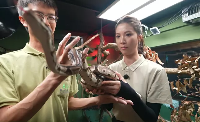 咁驚都克服到，好叻女。