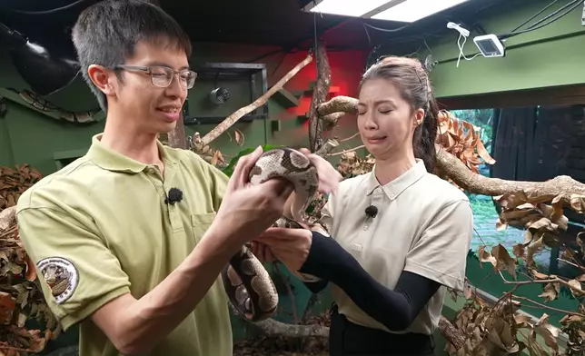 咁驚都克服到，好叻女。