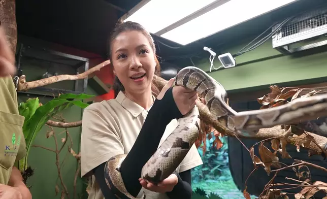 咁驚都克服到，好叻女。