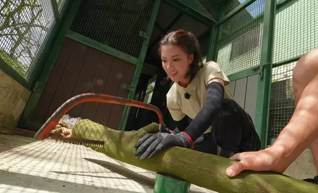 Hera有落手落腳做嘢。