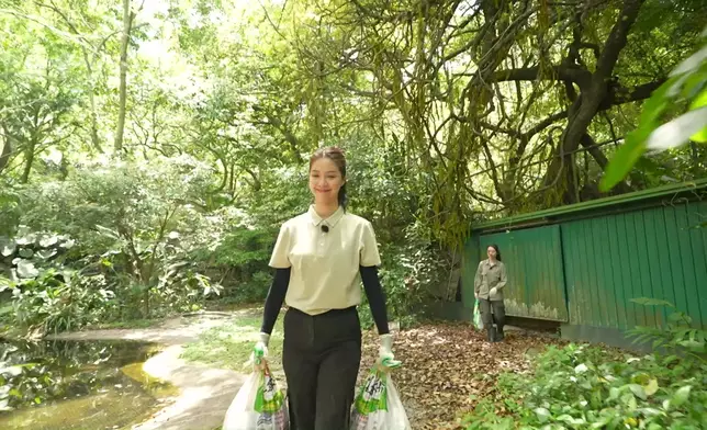 Hera有落手落腳做嘢。