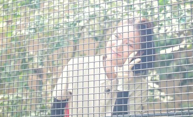 亦有寓工作於娛樂，睇下佢玩得幾開心！