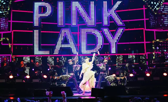 她仔細斟酌過演唱會的每個細節，從舞台佈置一直到曲目的選擇，都包含著她對於藝術的認知