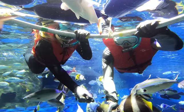 《供應商氣候夥伴計劃》提供各類體驗及參觀活動，包括「一喜種田」農務工作坊、海洋公園浮潛體驗及認識珊瑚保育、參觀信和創意研發室及The Spark等，藉此提高供應商及其員工的減碳意識，並促進在日常生活中實踐可持續發展。