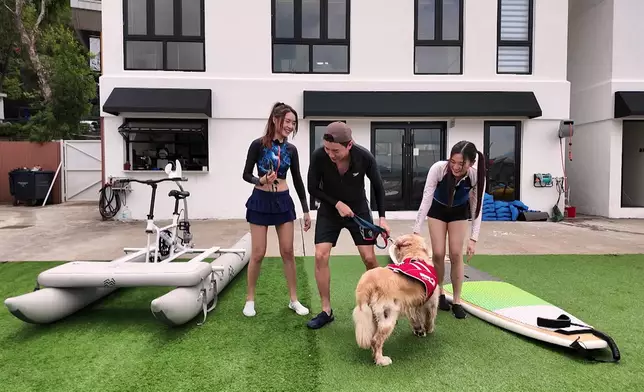 戴祖儀真係弗到漏油，笑容又夠甜美。