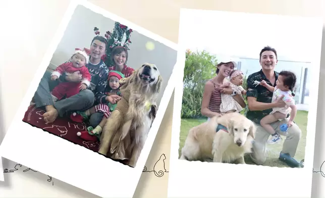 德德都玩得好投入。