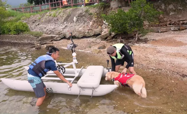 洪永城當正愛犬Molly係家中大家姐。