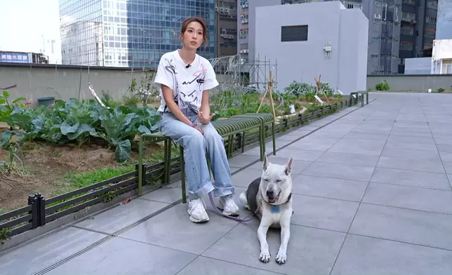 姚子羚與愛犬通仔又有愛又感人。
