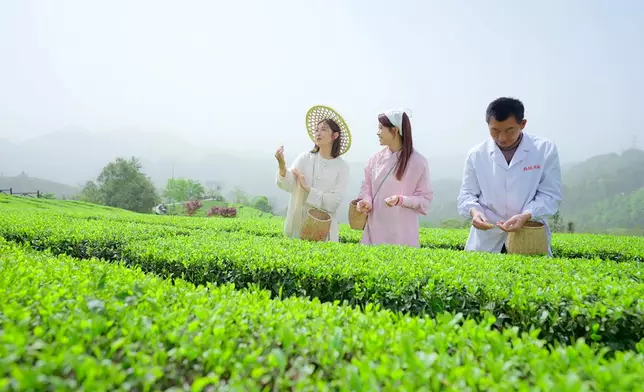 Yoyo非常入戲：我哋係茶姑娘，獻畀皇上。