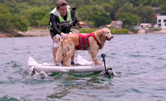 一個主人係咪真係錫隻狗，睇佢嘅舉動就一清二楚，Tony全程將Molly照顧到無微不至。