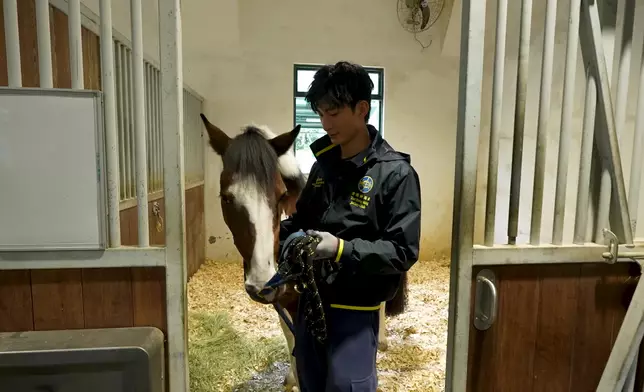 Aska初次接觸馬匹。